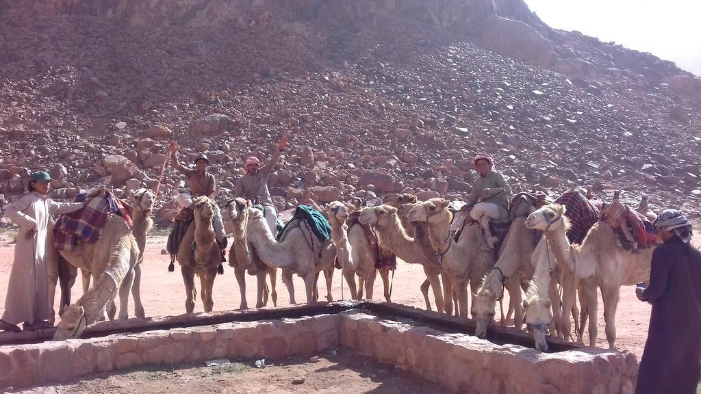 Wadi Rum Wanderlust Camp Zewnętrze zdjęcie